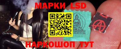 стаф Кинель