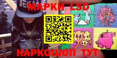 стаф Кинель