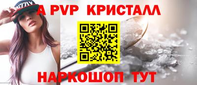 стаф Кинель