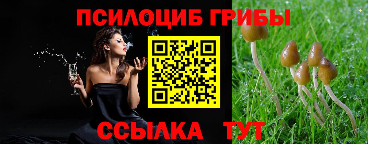 Псилоцибиновые грибы прущие грибы  Вход с VPN  Комсомольск-на-Амуре 